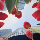 北京旅游 缩略图 6