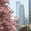 北京旅游 缩略图 5