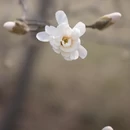 北京旅游 缩略图 5