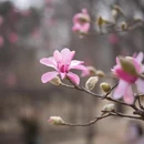 北京旅游 缩略图 8