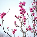 北京旅游 缩略图 6
