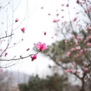 北京旅游 缩略图 10