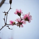 北京旅游 缩略图 9