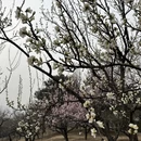 北京旅游 缩略图 7