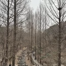 北京旅游 缩略图 1