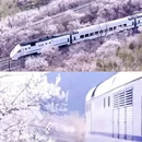 北京旅游 缩略图 4