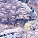 北京旅游 缩略图 5