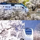 北京旅游 缩略图 10