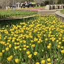 武汉旅游 缩略图 6