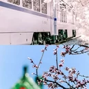 北京旅游 缩略图 11