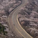 北京旅游 缩略图 2
