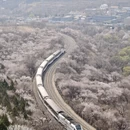 北京旅游 缩略图 13