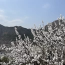 北京旅游 缩略图 3