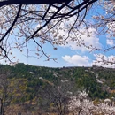 北京旅游 缩略图 2