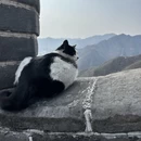 北京旅游 缩略图 4