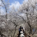 北京旅游 缩略图 5