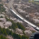北京旅游 缩略图 1