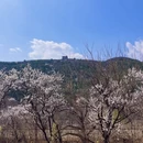 北京旅游 缩略图 4