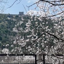 北京旅游 缩略图 3