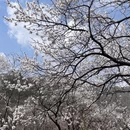 北京旅游 缩略图 6