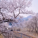 北京旅游 缩略图 4