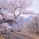 北京旅游 缩略图 1