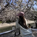 北京旅游 缩略图 3