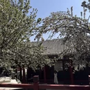 北京旅游 缩略图 11
