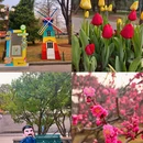 北京旅游 缩略图 1