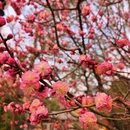 北京旅游 缩略图 5