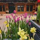 北京旅游 缩略图 4