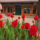 北京旅游 缩略图 6