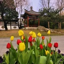 北京旅游 缩略图 13