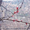 北京旅游 缩略图 1