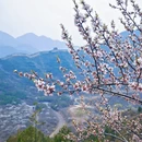 北京旅游 缩略图 2