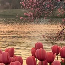 南京旅游 缩略图 4