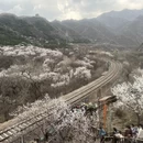 北京旅游 缩略图 4