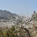 北京旅游 缩略图 7