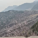 北京旅游 缩略图 10