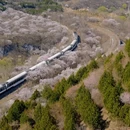 北京旅游 缩略图 1