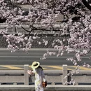 天津旅游 缩略图 4