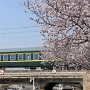 天津旅游 缩略图 3