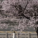 天津旅游 缩略图 2