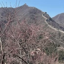 北京旅游 缩略图 2