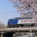 天津旅游 缩略图 10