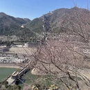 北京旅游 缩略图 7