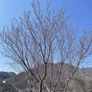 北京旅游 缩略图 5