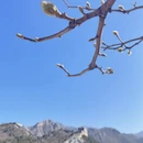 北京旅游 缩略图 13