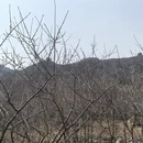 北京旅游 缩略图 7
