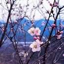 北京旅游 缩略图 3